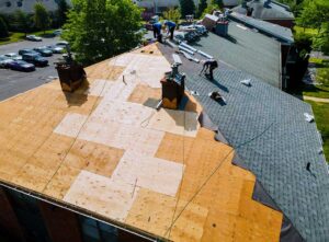 A homeowner examines dark roof streaks from the ground beside a ladder and leafy roofline.